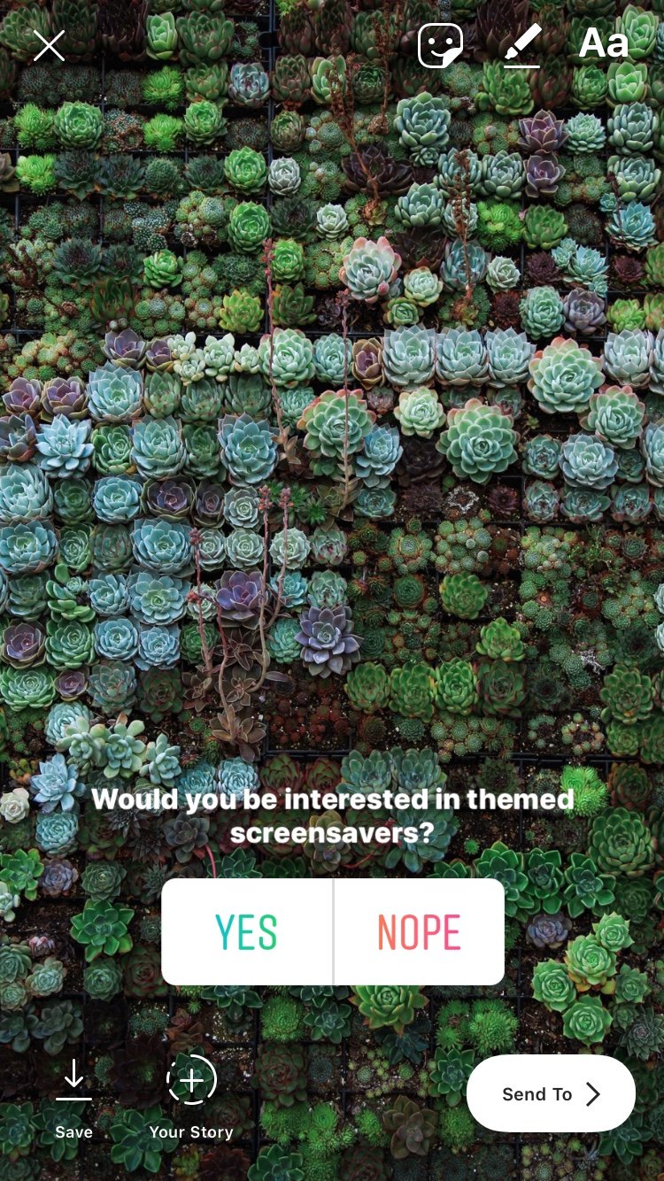 Instagram stories polls