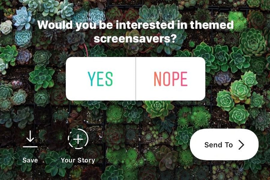 Instagram stories polls