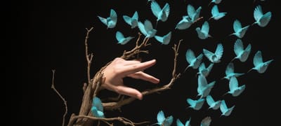 Follower Management Tips