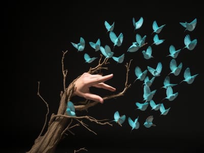 The Secret to Social Media Growth: A Comprehensive Guide on How to Remove Unwanted Twitter Followers